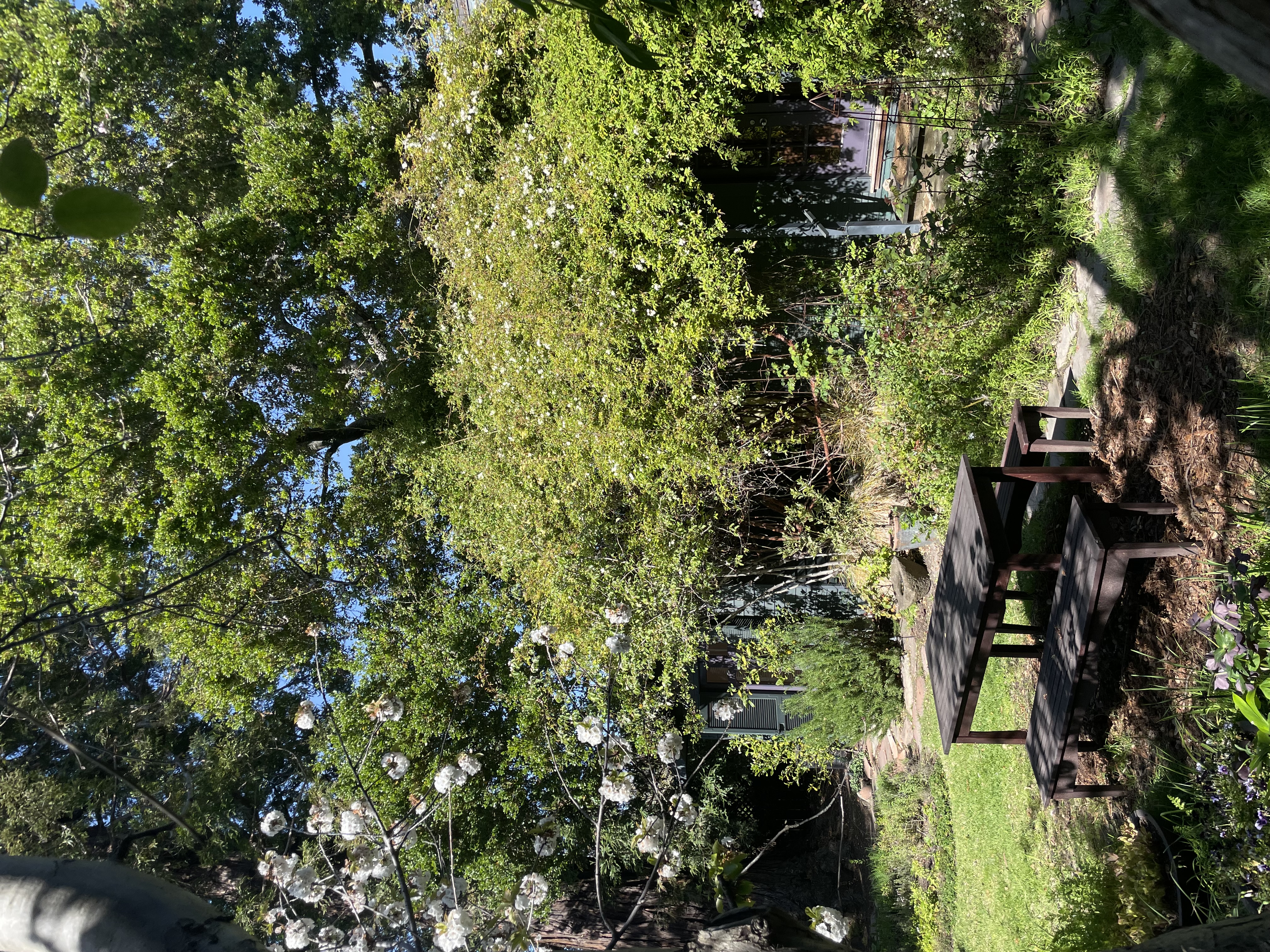 A garden shed covered in plants
