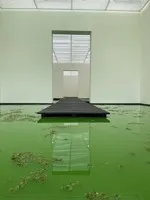 A green pond exhibition